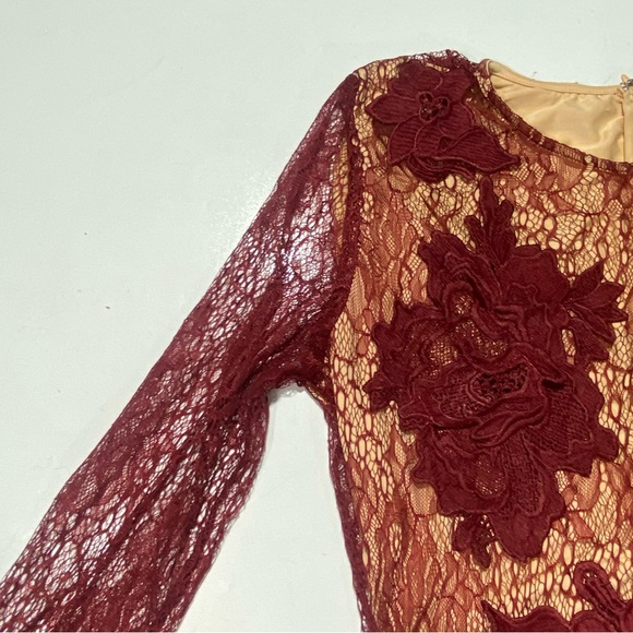 Luxxel Maroon Sheer Net Embroidered Floral Bodycon Dress With Nude Bodysuit M - Picture 7 of 15
